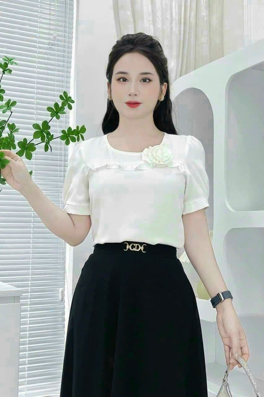 Áo nữ công sở đơn giản xinh xắn