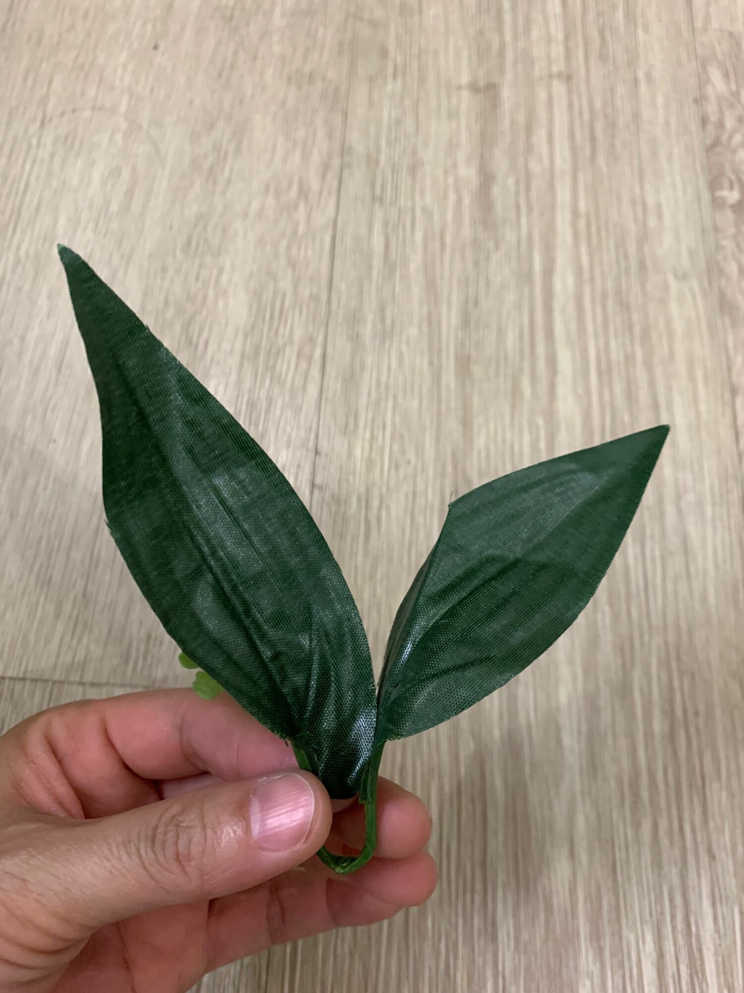 100 gram lá hoa hồng ,lá lyly