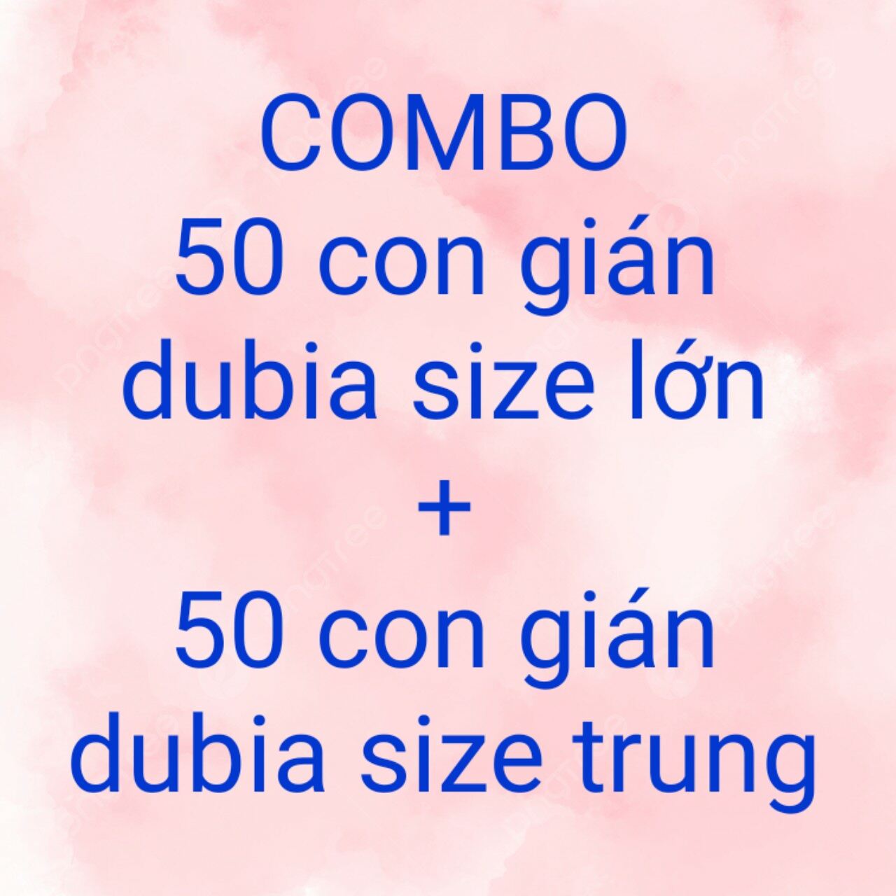 Combo 50c gián dubia size lớn + 50 con size trung