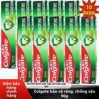Colgate | Kem đánh răng bảo vệ chống sâu răng 90g