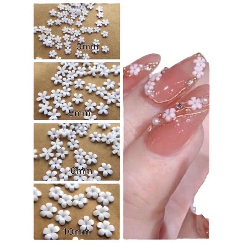 Hoa Sứ Nhí Nail