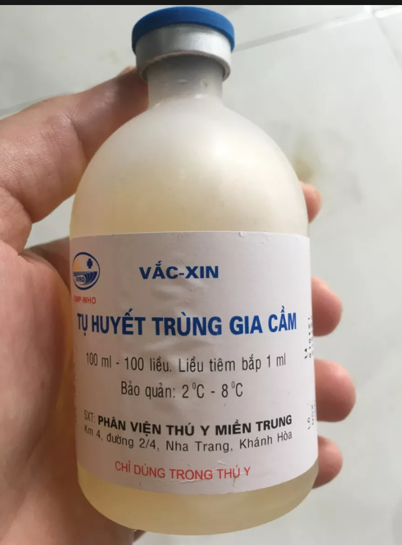 Tụ trùng huyết gia cầm