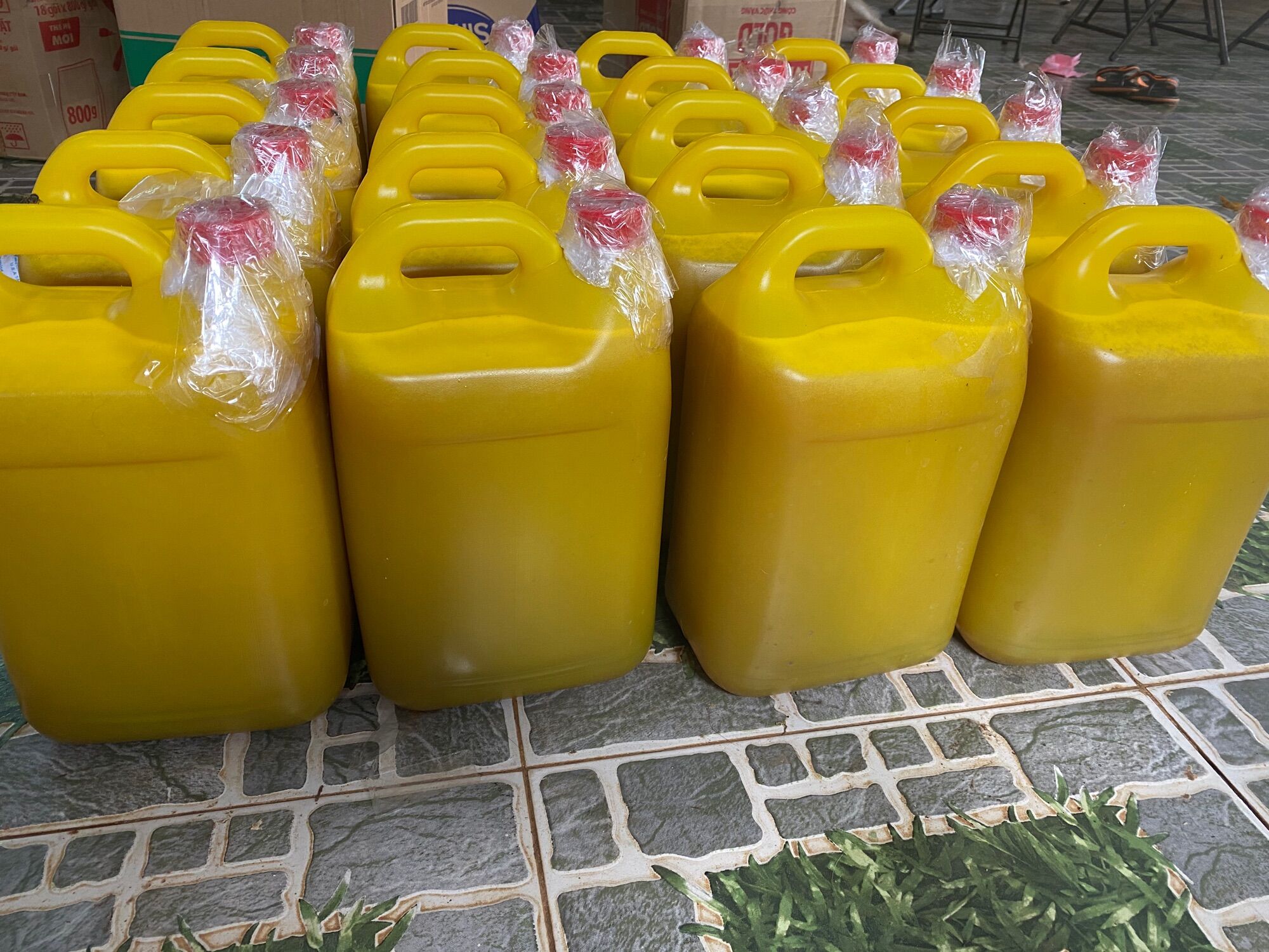 1 lít mật ong nguyên chất hoa cà phê daklak