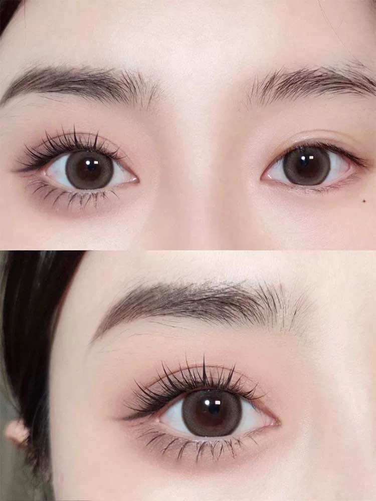 Mi katun daisy tạo fan sẵn ( tặng keo 25k )