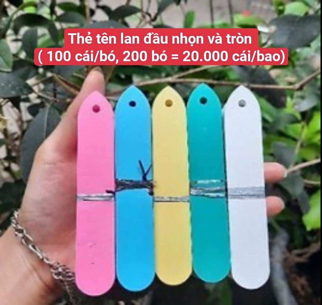 Combo 100 thẻ tên giấy ghi tên cây trồng