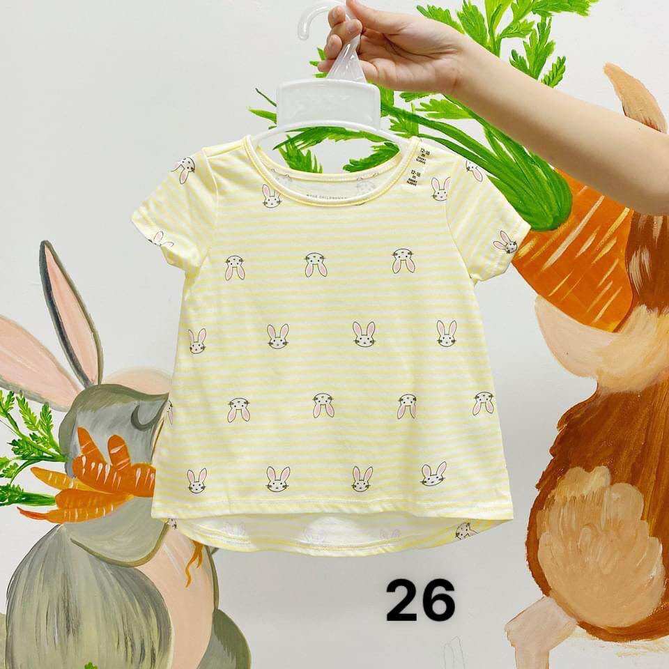 Áo thun Place xuất khẩu bé gái