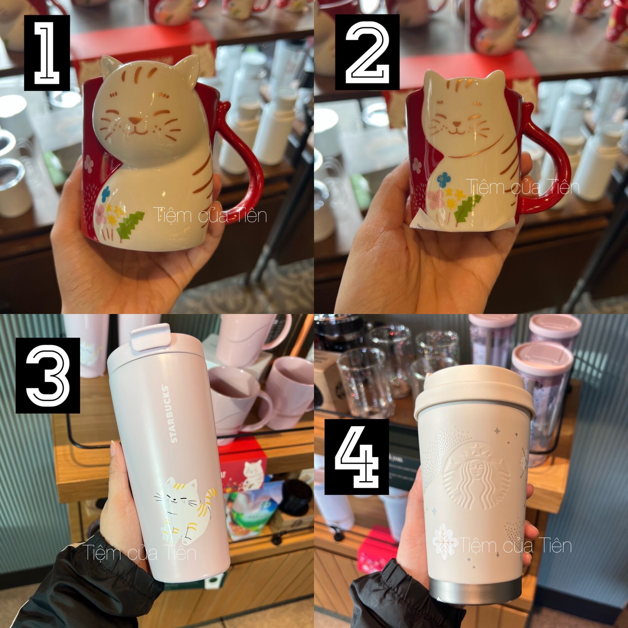 Bình STARBUCKS - YEAR OF THE CAT 2023