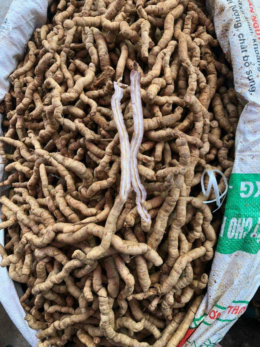 Quang Ninh Purple Tripe 1kg
