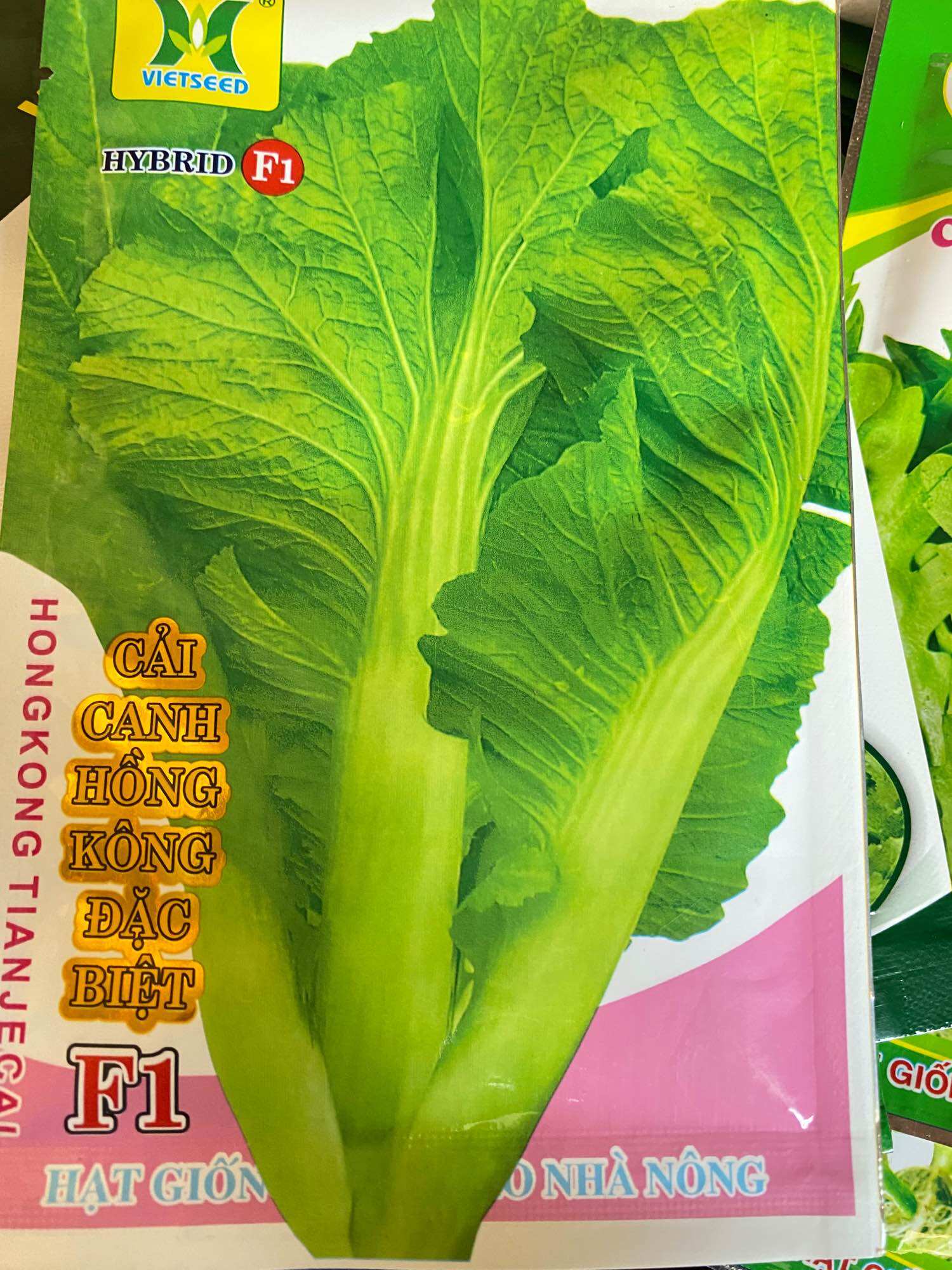 Hạt giống cải canh hồng kong cây to trẻ lâu gói 20gr