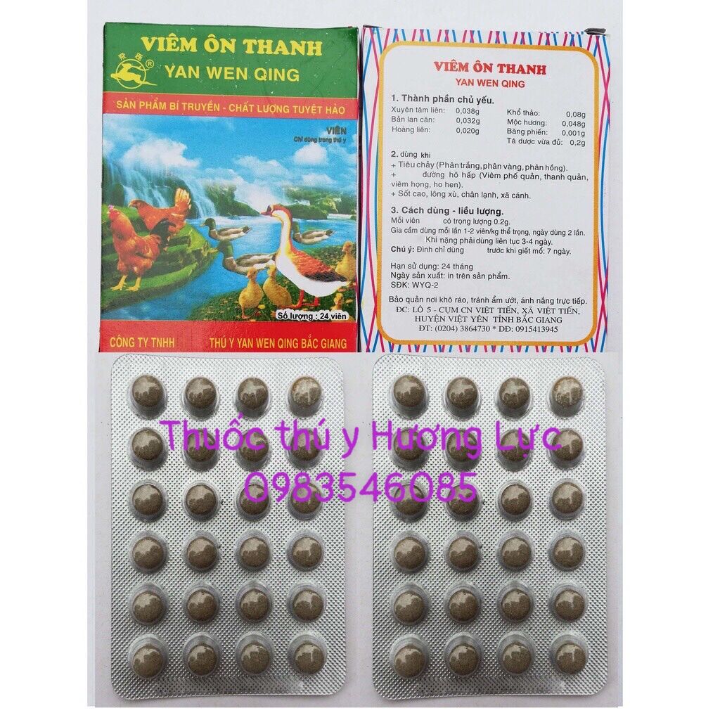 10 vỉ viên ôn thanh (24 viên 1 vỉ)