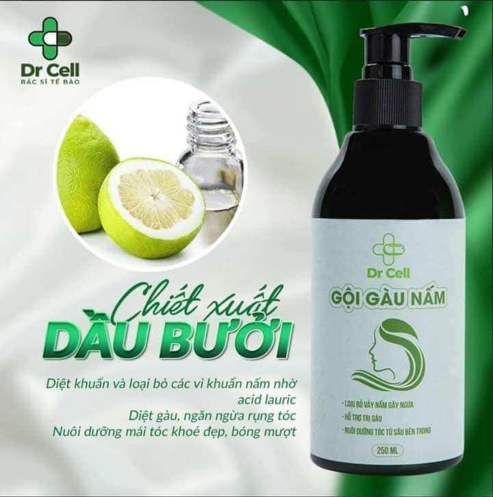Gội Gàu Nấm DR CELL 250ml
