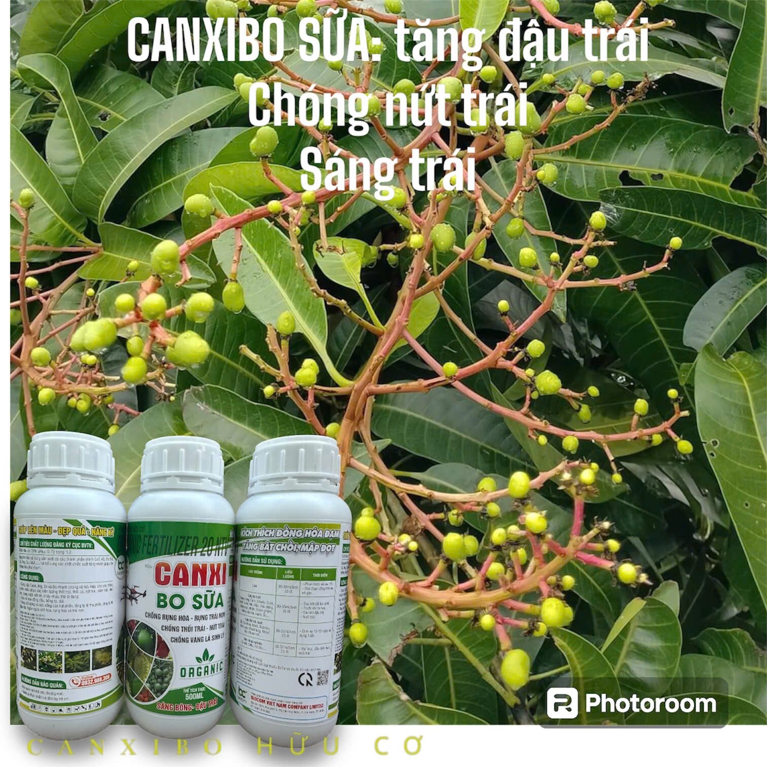 Canxi bo sữa 500ml Chống rụng trái non - tăng đậu trái - lên màu đẹp - giữ cuốn hoa tươi
