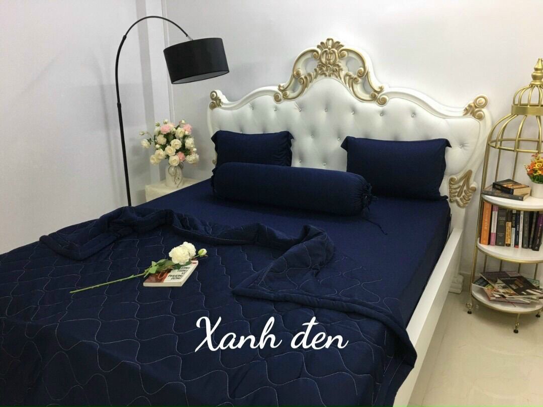 Bộ ga trải giường 4 món drap áo gối thun lạnh hàn quốc xanh mệnh mộc