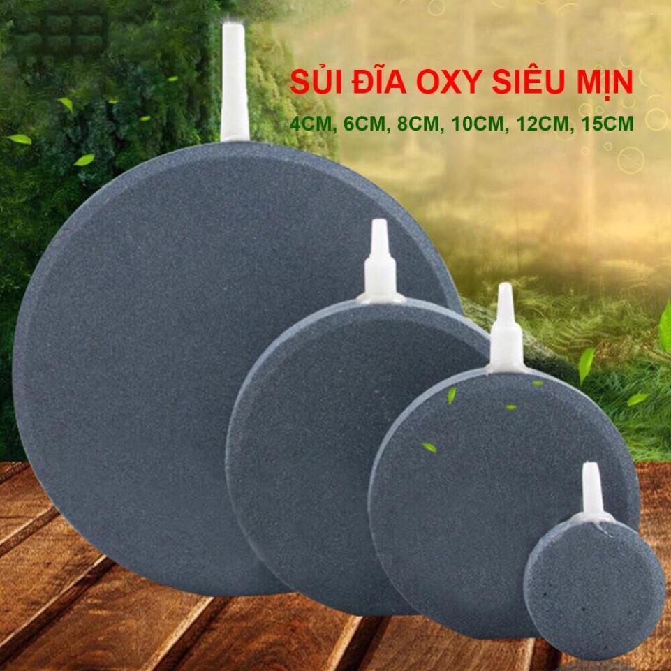 Sủi Dĩa Siêu Mịn Hồ Cá Thủy Sinh 4cm 6cm 8cm 10cm