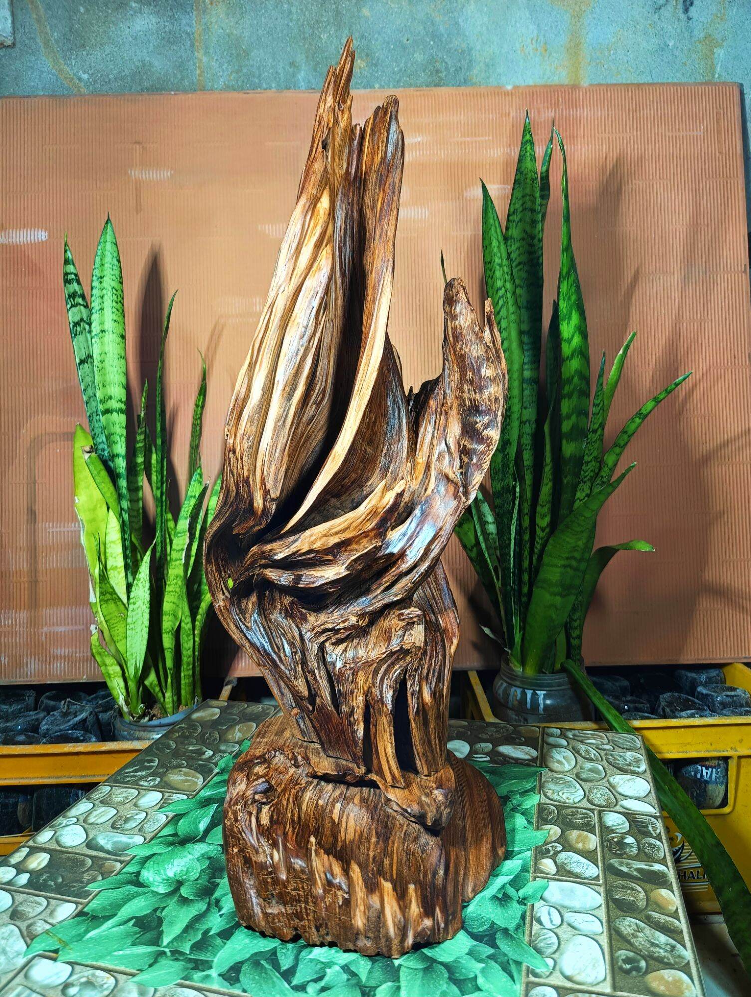 lũa gỗ thơm ngọc am đỏ hà giang
