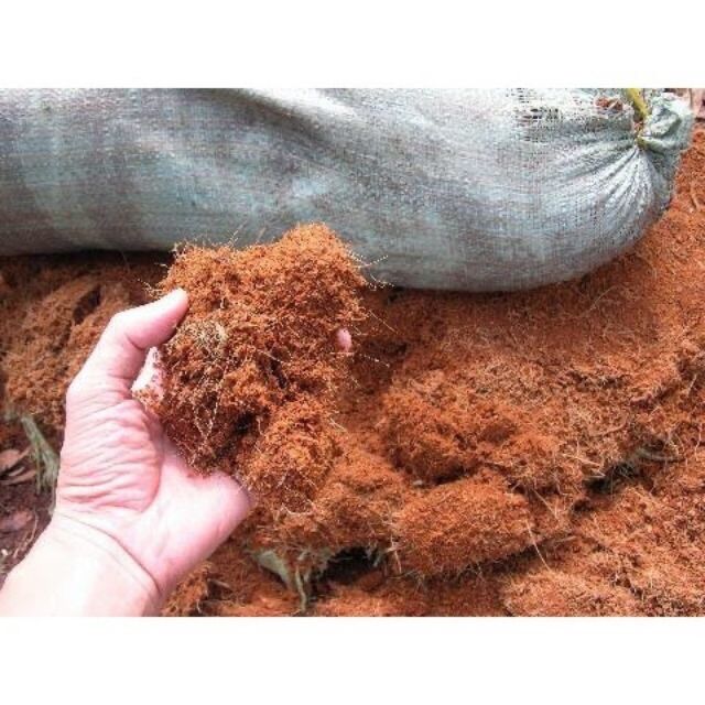 Mụn sơ dừa giá thể trồng cây - 500gr