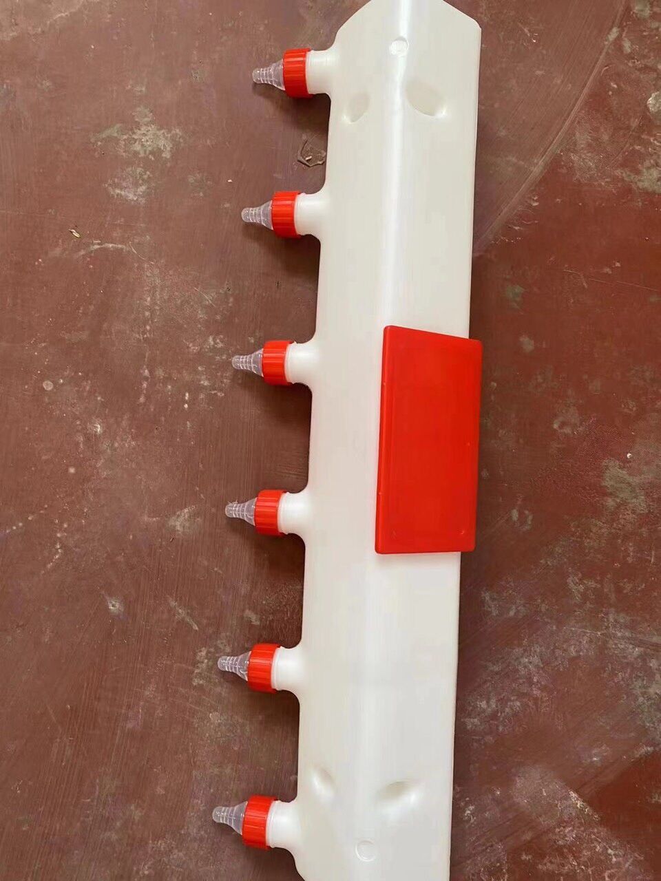 Bình bú heo 9núm bình bú 6núm