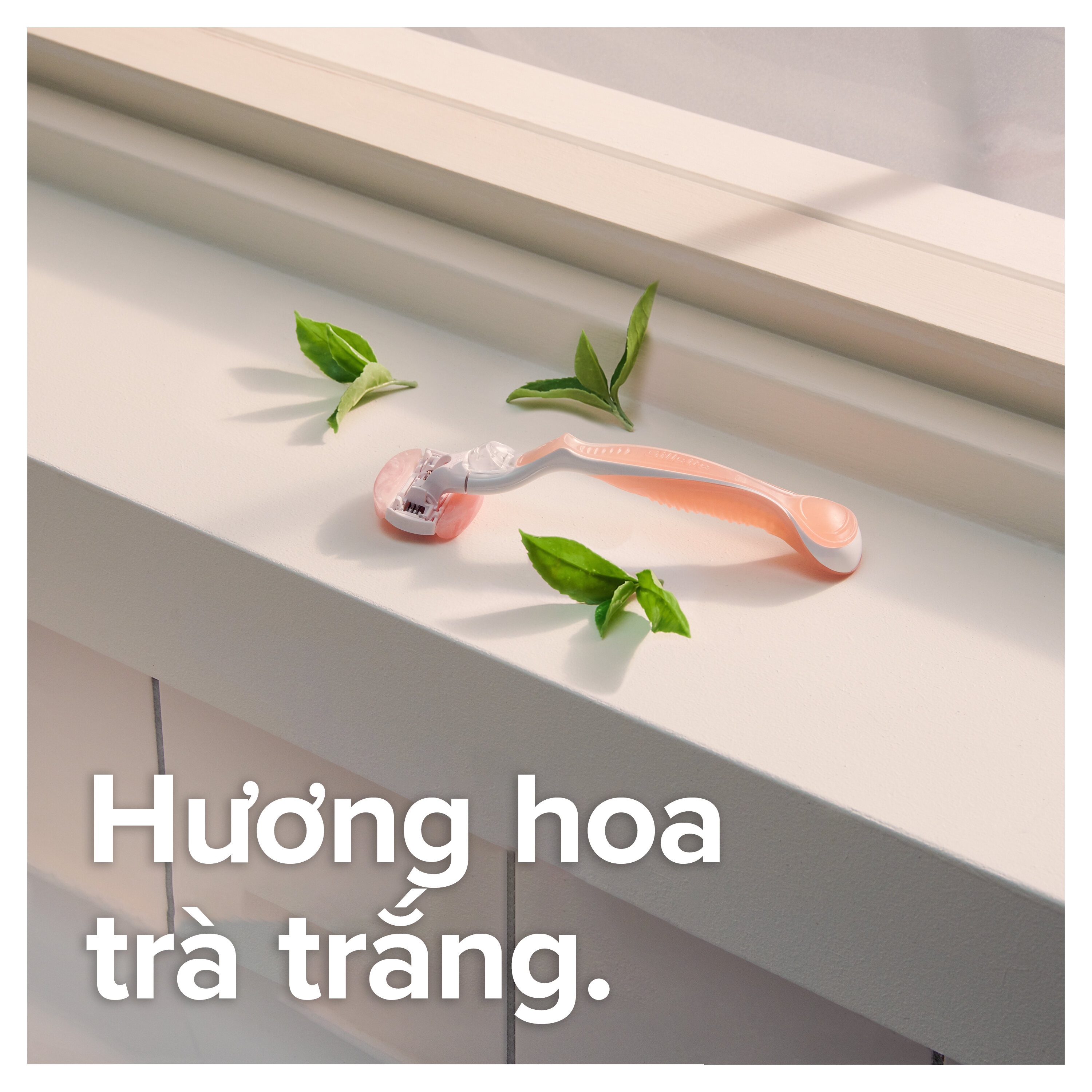 Bộ Dao Cạo Nữ GILLETTE Venus White Tea