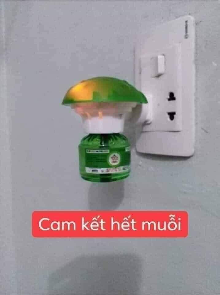 Củ đèn đuổi muỗi Hàn Quốc
