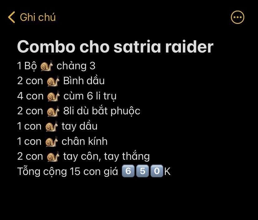 [HCM]Ốc titan dàn đầu Sonic Raider Satria