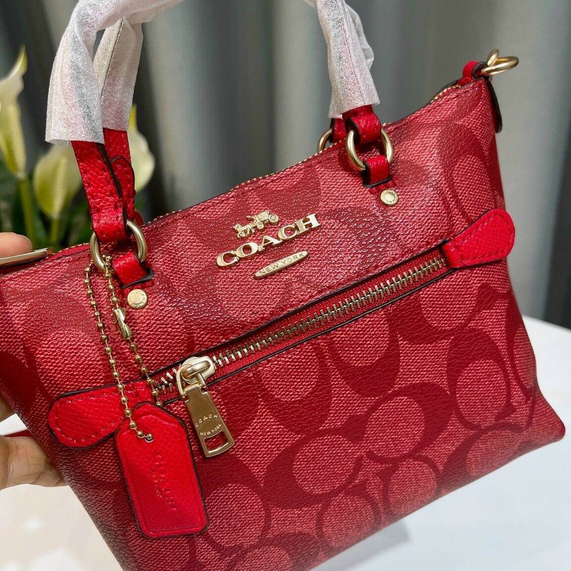 Túi co*ach mini mới siêu xinh