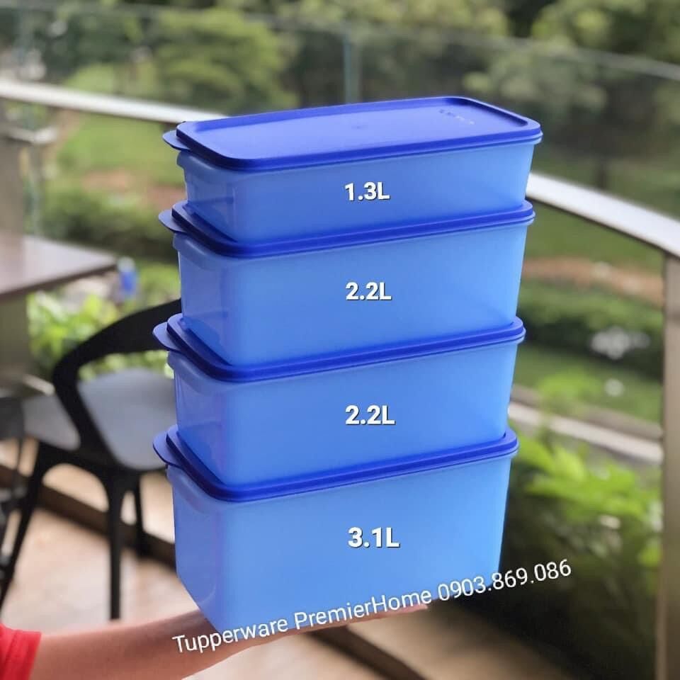 Bộ hộp Bảo quản thực phẩm Tupperware (4hộp mát dài Modern)