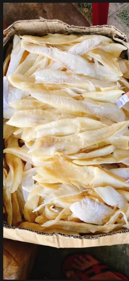 ỨC CÁ DỨA 3 NẮNG 500gr