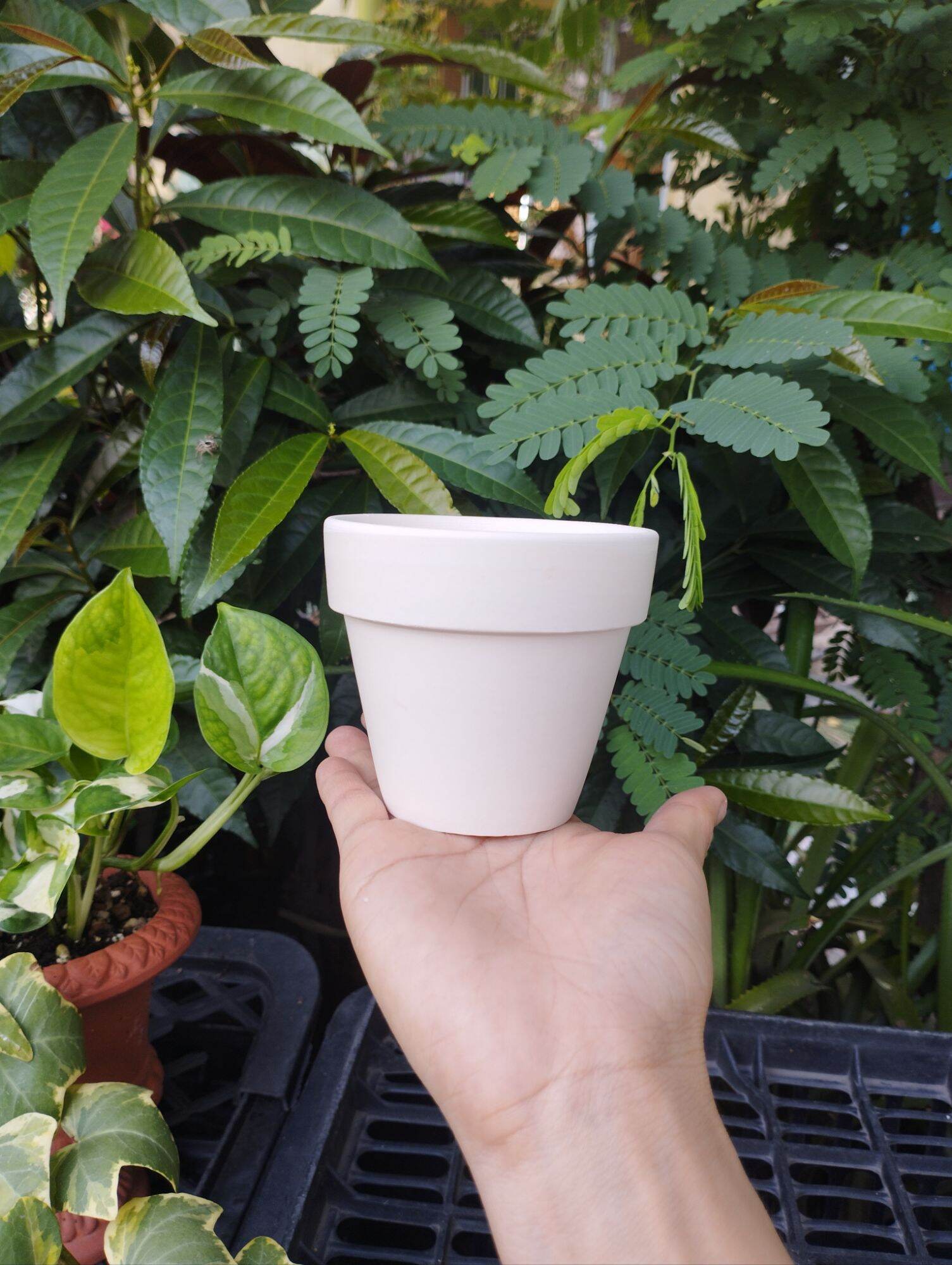 [Bao Bể Vỡ] Chậu Đất Nung Chậu Trồng Sen Đá 8x7 Cm