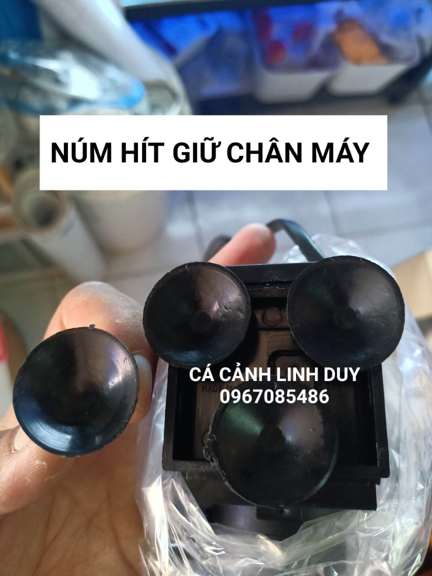 Núm hít giữ chân máy