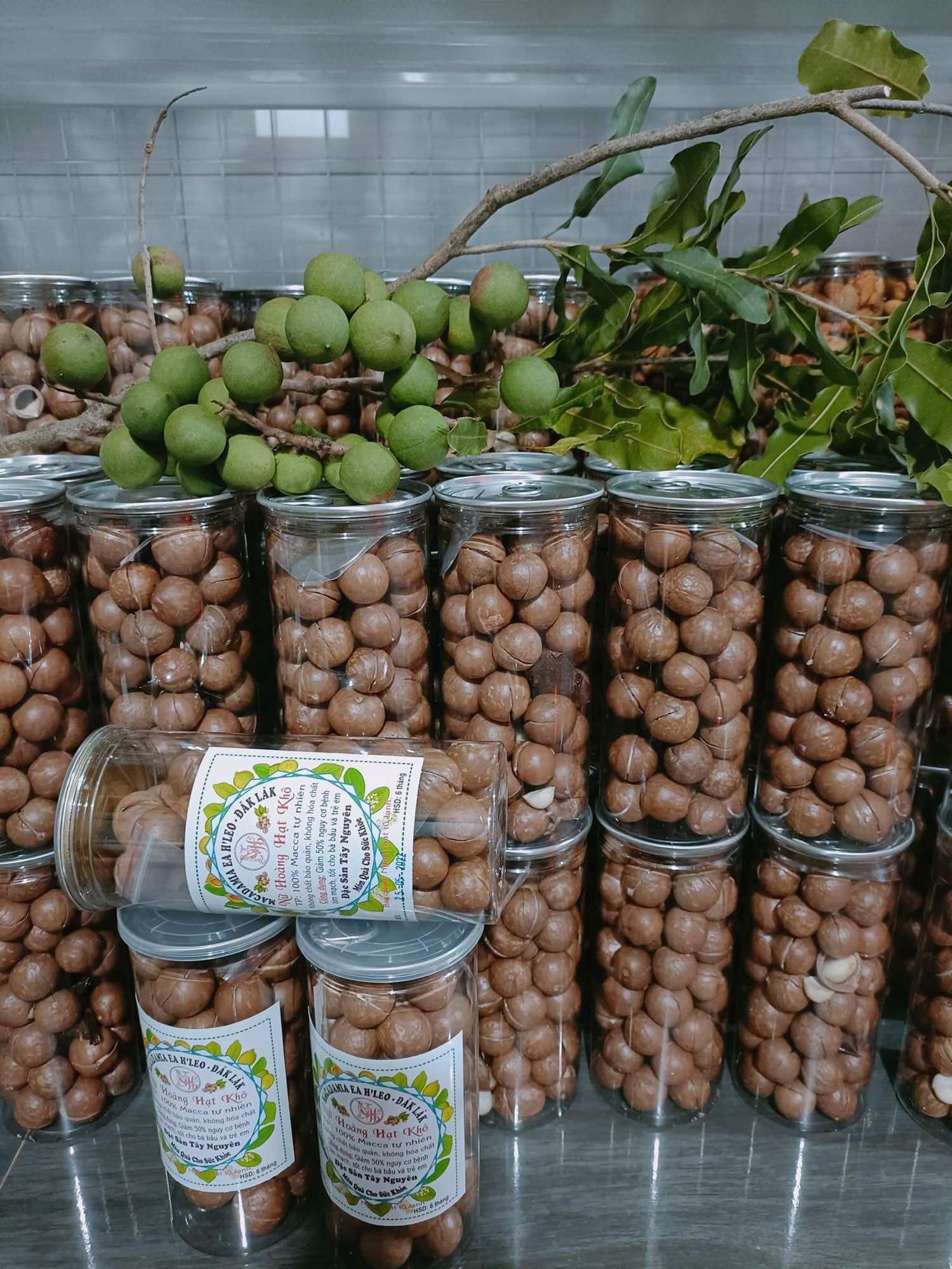 Macca đaklak sấy nứt vỏ 500gr- giòn- béo