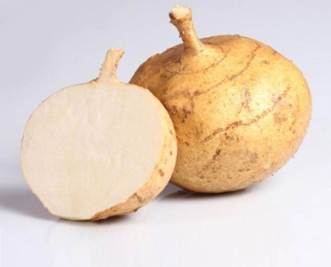 500g- Củ sắn tươi Lâm Đồng