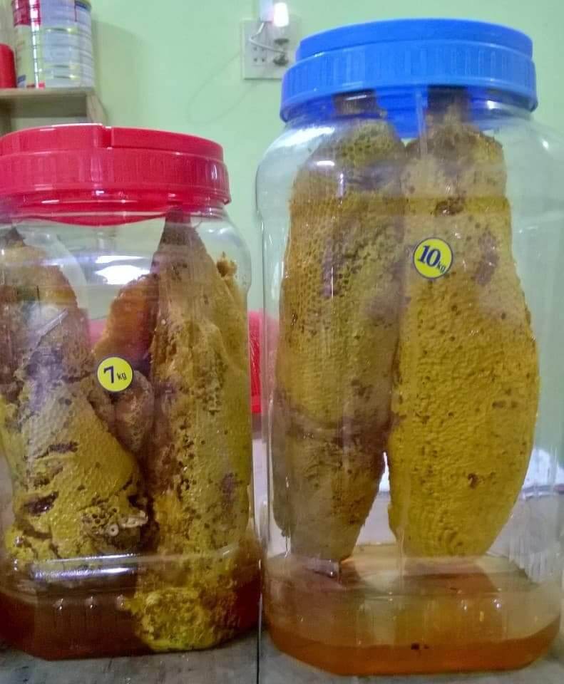 MẬT ONG RUỒI NGUYÊN TỔ, 1kg