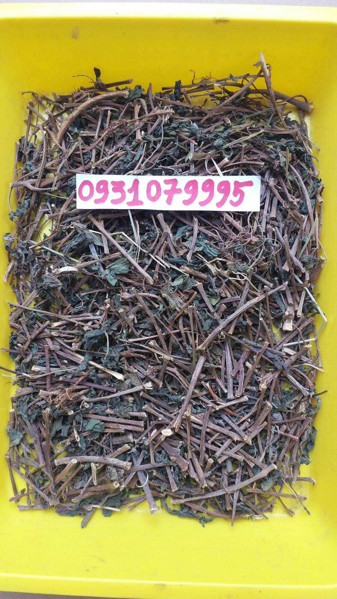 cây lá dòi - lá dòi tía phơi khô 1kg