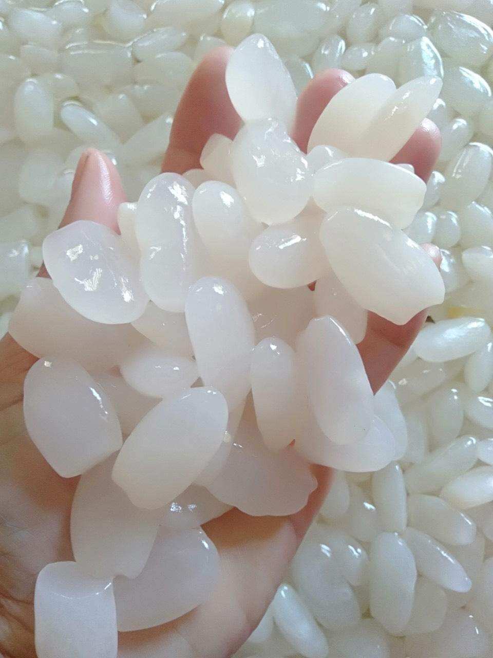 Hạt đác tươi, dẻo 1kg hạt chọn kỹ