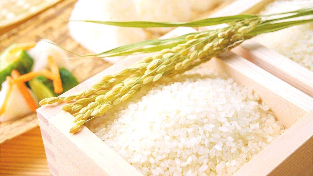 [HCM]Gạo Nhật thơm ngon túi 5kg bao ăn nấu cơm ăn hay làm các món sushi, Kim bap các loại cơm trộn.. dẻo ngon cả khi để nguội.