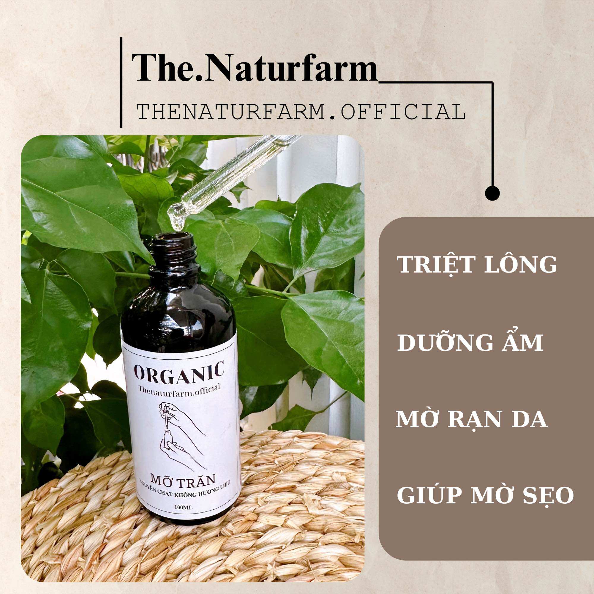Mỡ trăn nguyên chất 100ML đa công dụng ( triệt lông liền sẹo giảm bỏng ... )