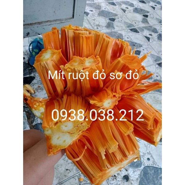 Cây giống mít ruột đỏ sơ đỏ malaysia