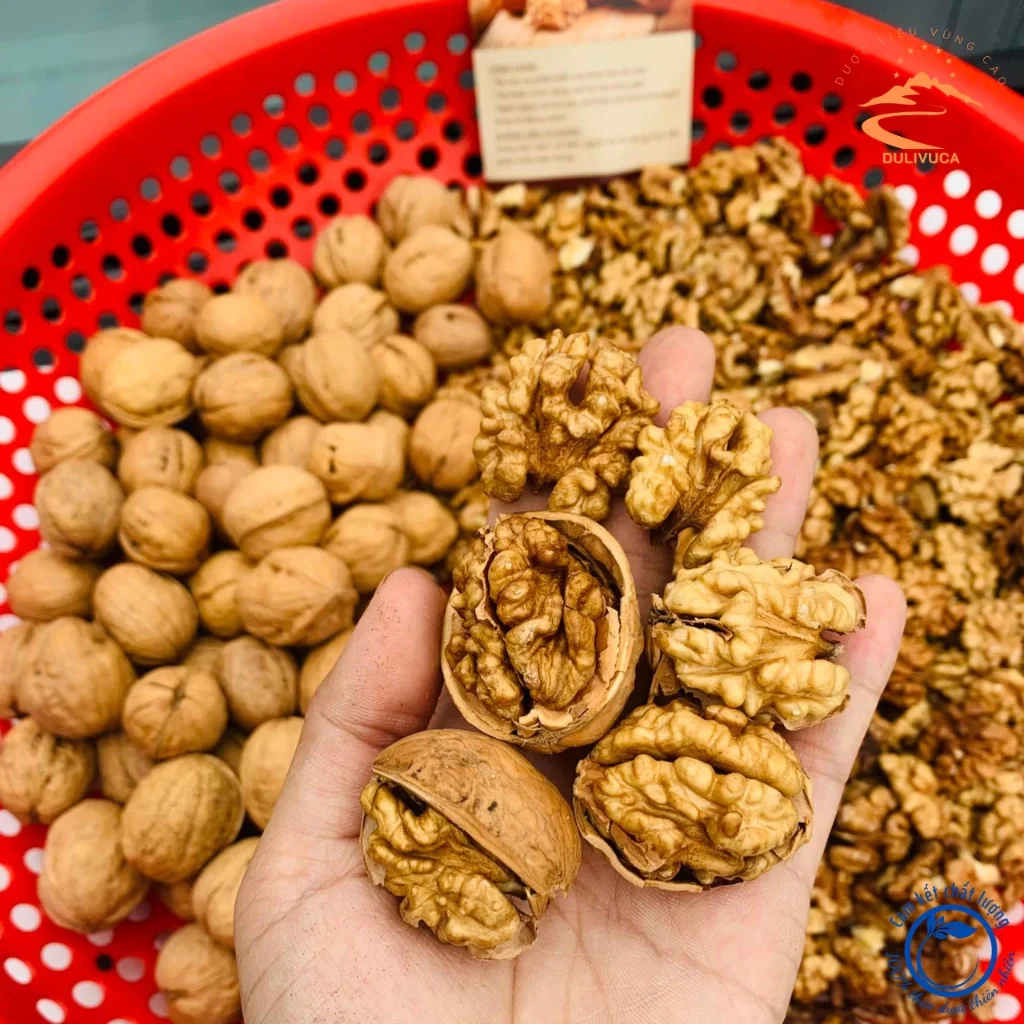 Nhân óc chó nếp vàng, hạt óc chó. óc chó giấy loại 1, [đã tách vỏ]. Óc chó sống sấy khô từ óc chó tươi rừng Hà Giang, làm sữa hạt
