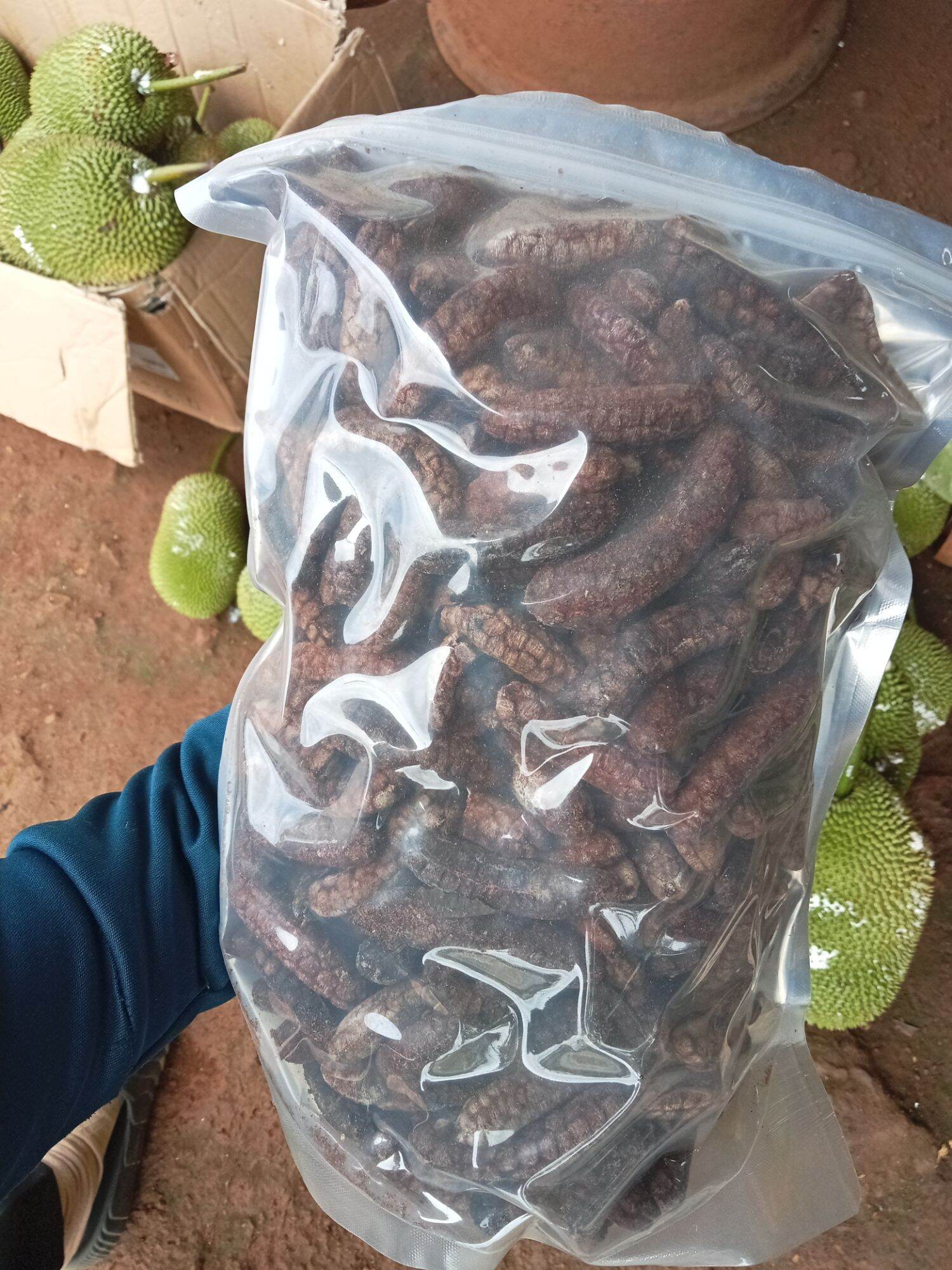Chuối hột rừng