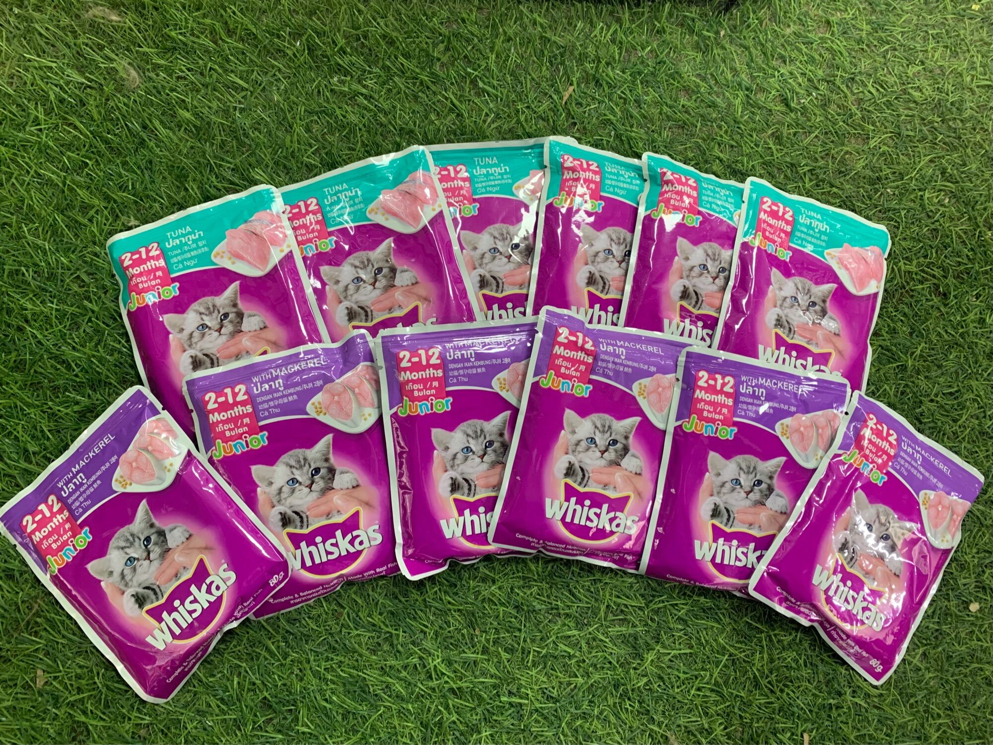 Combo 12 gói pate whiskas mèo con 85g