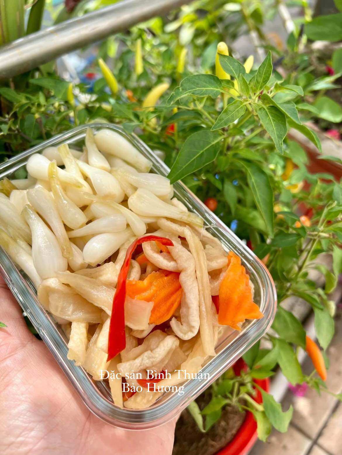 1 kg củ kiệu chua ngọt, nhà làm.