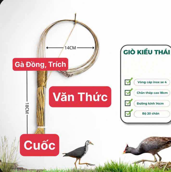 Giò Thái chuyên Cúm Núm Gà Đồng Cuốc - Vận Thục - Gà Đồng, Trích - Cuốc - Phụ kiện Chăm sóc Chim