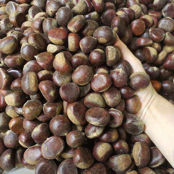 1kg hạt dẻ còn sống loại ngon