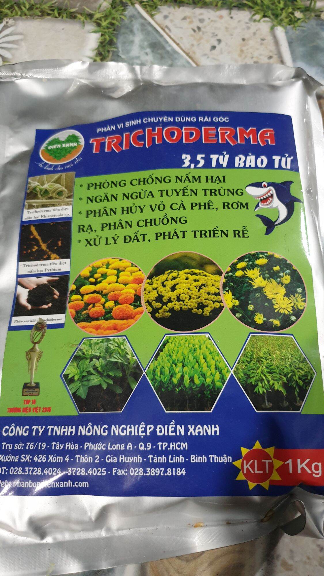 Phân TRICHODERMA - 3.5 Tỷ Bào Tử Nấm