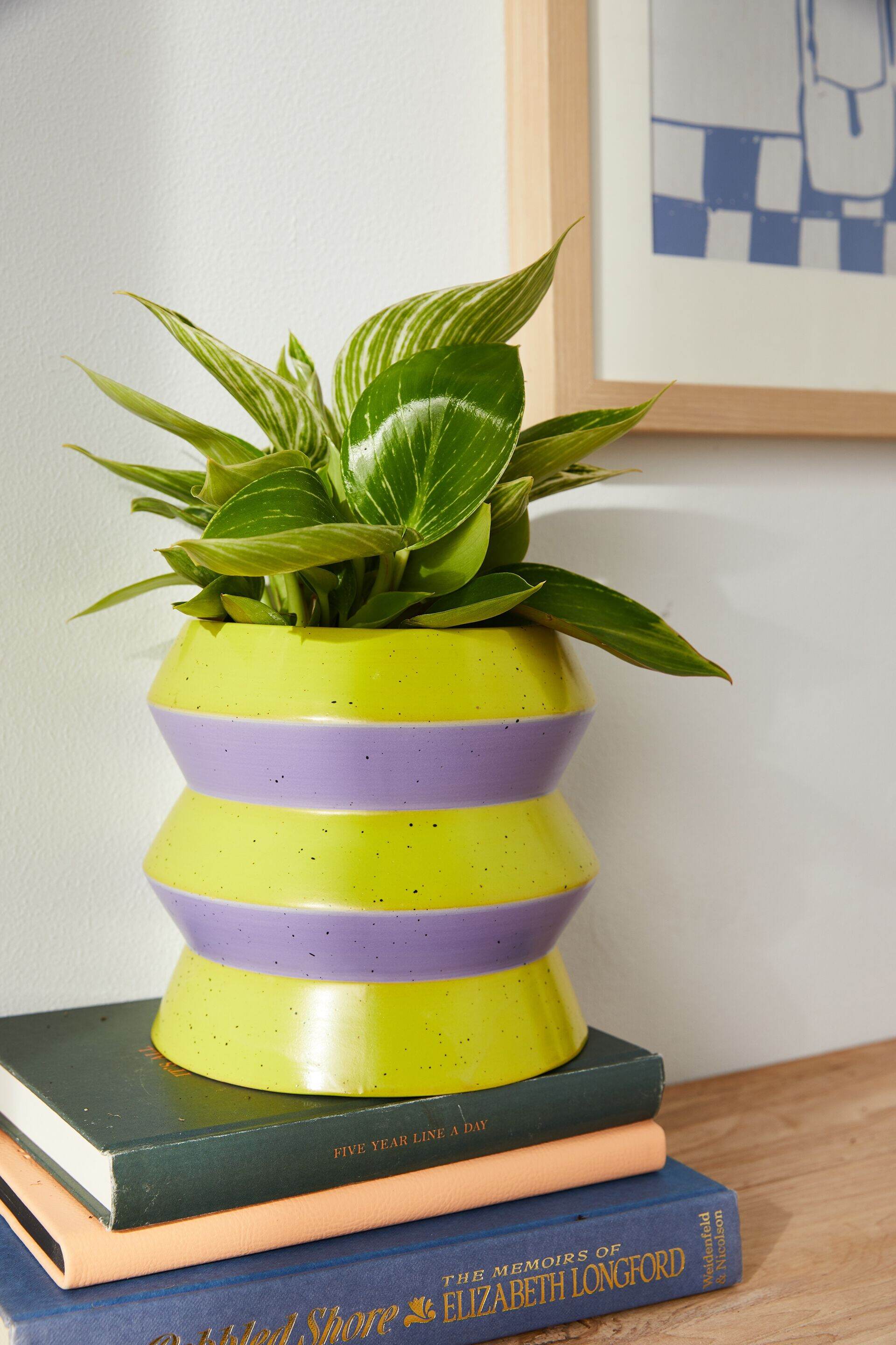 Typo - chậu cây-shape shifter planter