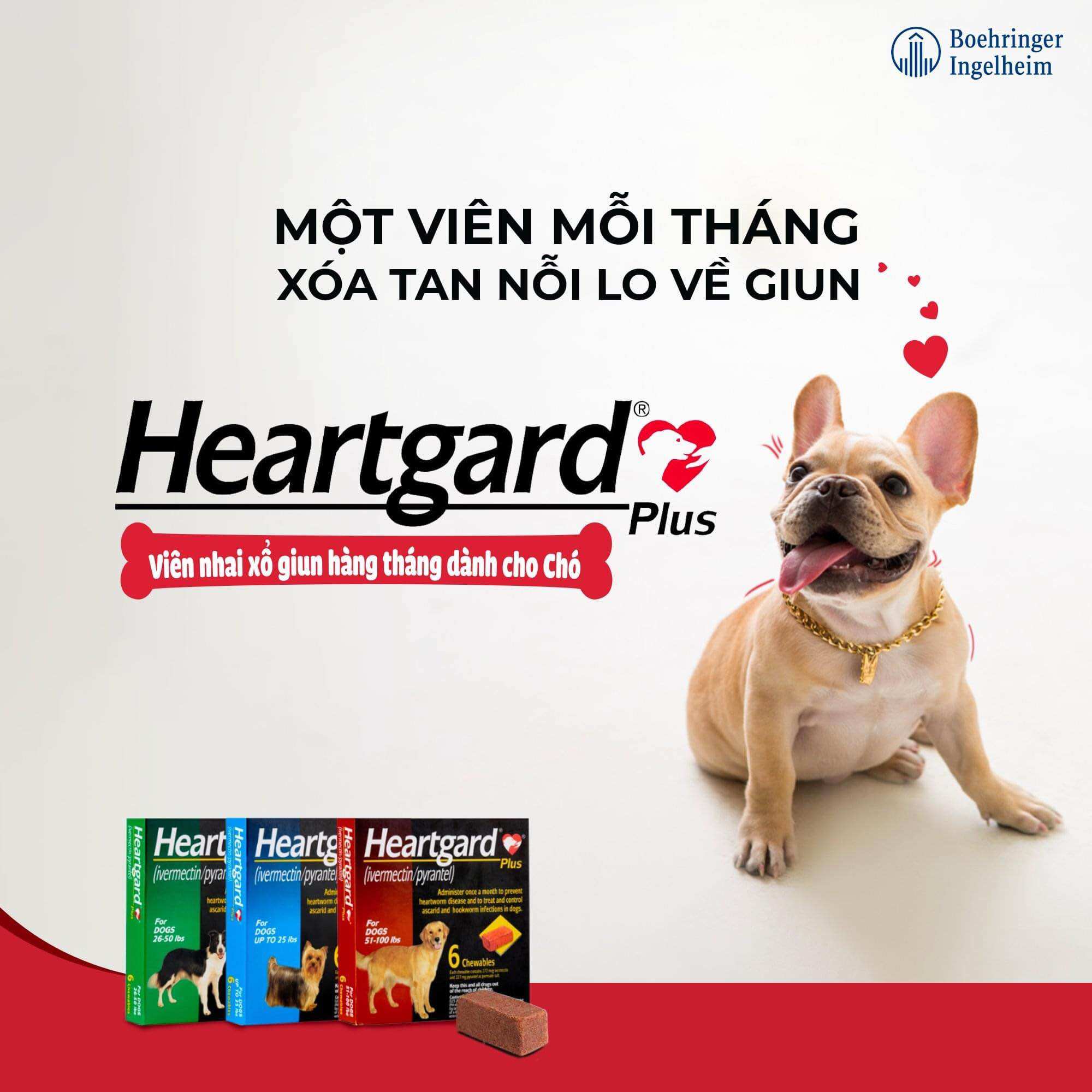 1 viên Heartgard phòng giun tim, giun đũa, giun móc (chó 22,5 - 45 kg)