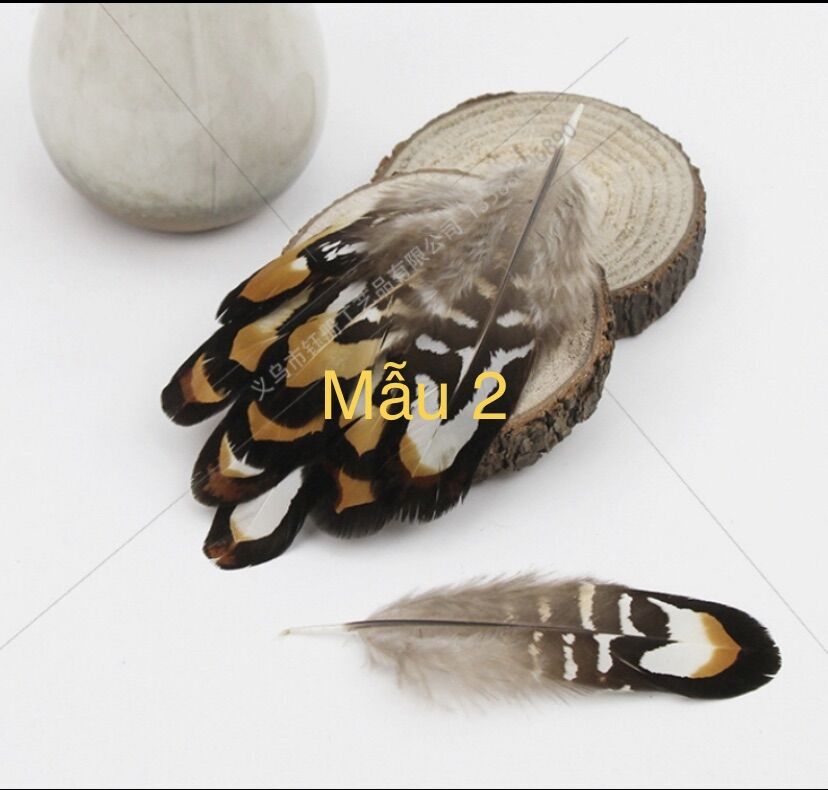 Lông vũ hoa văn tự nhiên, lông vũ làm dreamcatcher