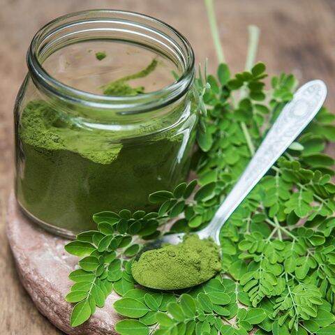 Bột Chùm Ngây Sấy Lạnh MORIS (100gr)
