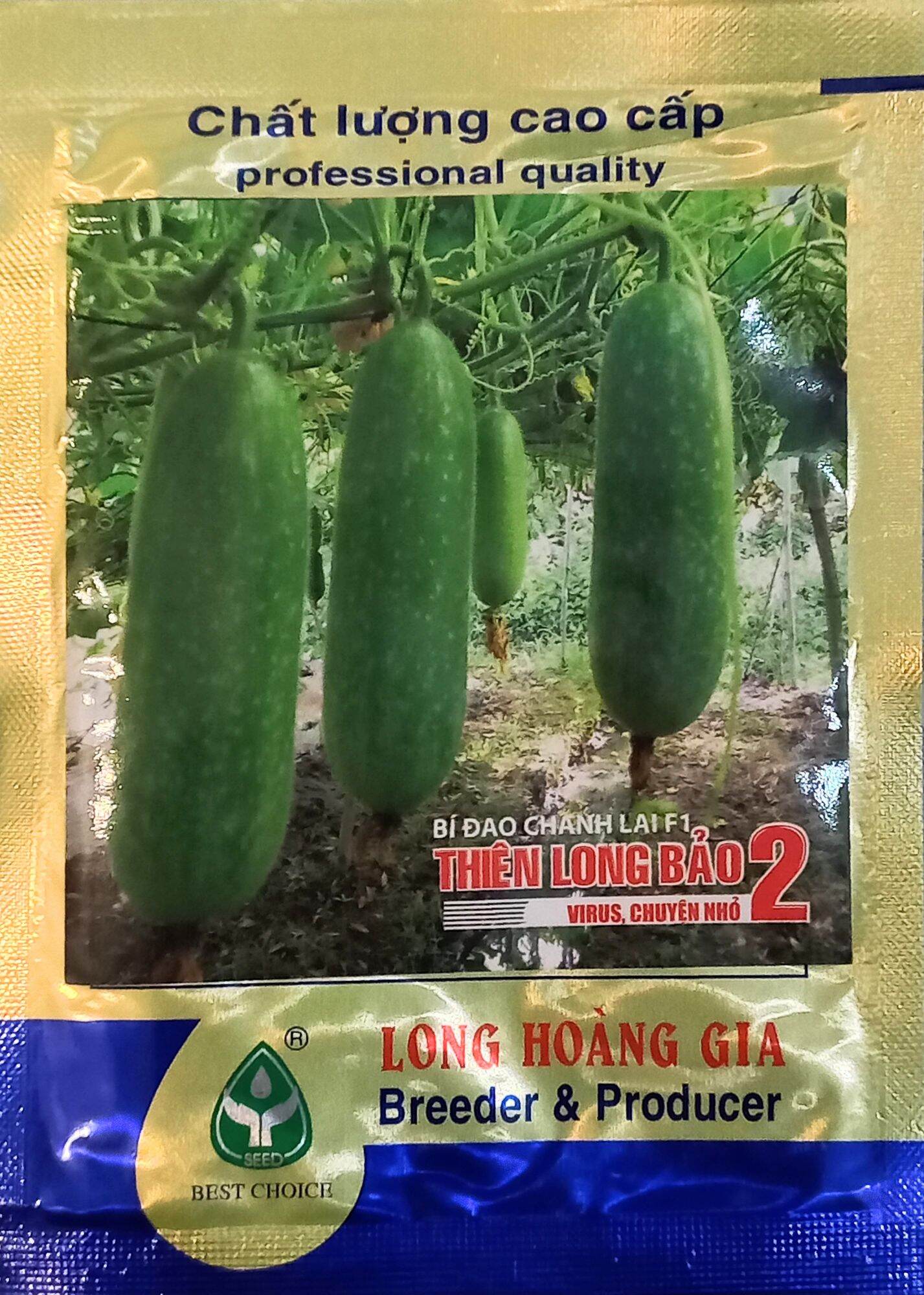Hạt giống bí đao chanh lai F1 Thiên Long Bảo 2