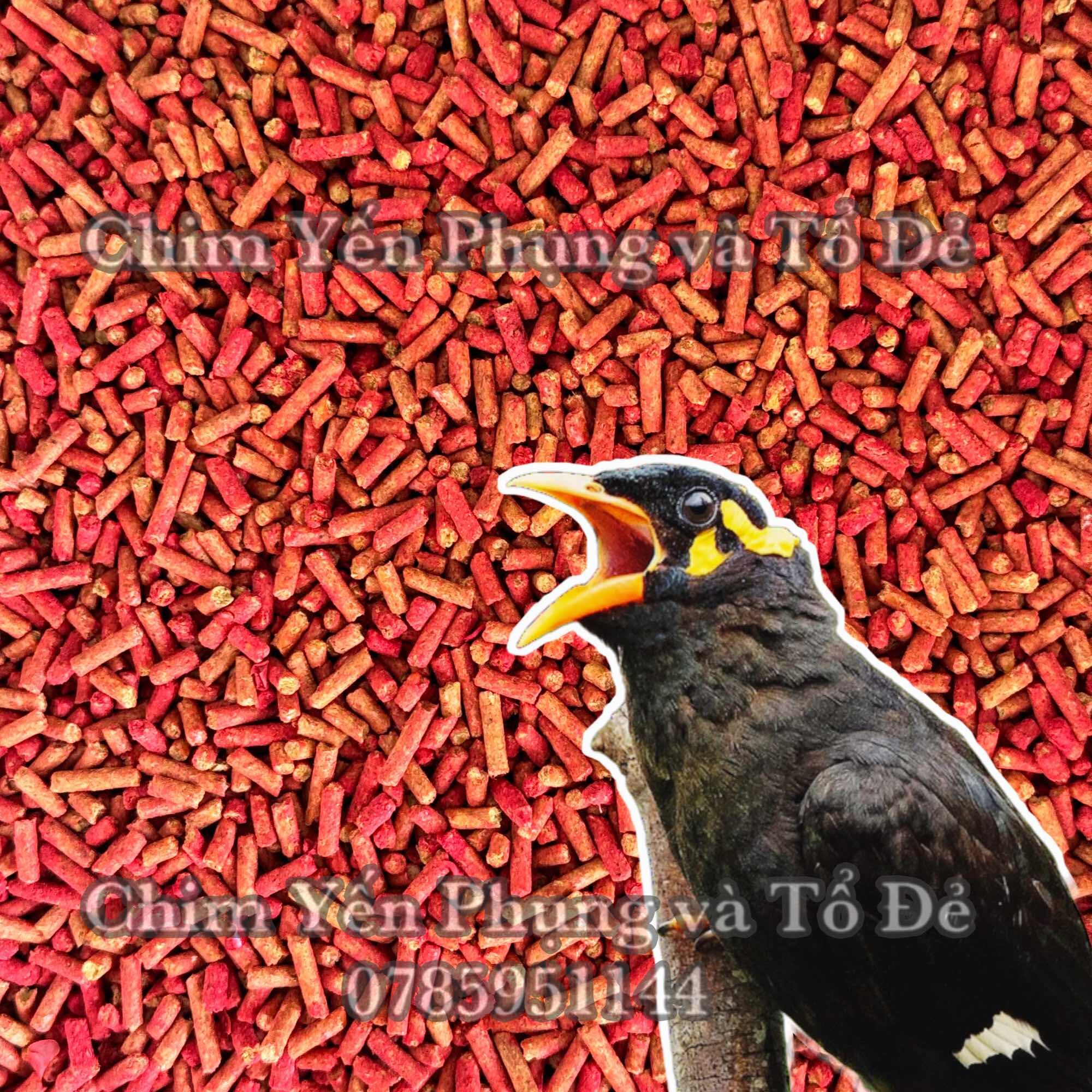 1kg cám ớt nguyên chất cho Nhồng, Cưỡng, Sáo tập nói - thức ăn chim.